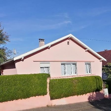 Superbe Maison 3 Chambres 1 Etage Et Sous-Sol, Avec Jardin Et Terrasse Altkirch Buitenkant foto