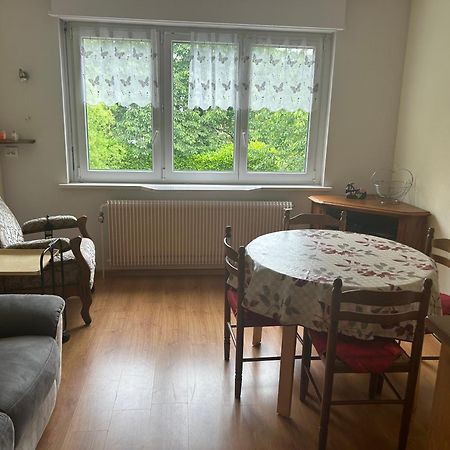 Superbe Maison 3 Chambres 1 Etage Et Sous-Sol, Avec Jardin Et Terrasse Altkirch Buitenkant foto
