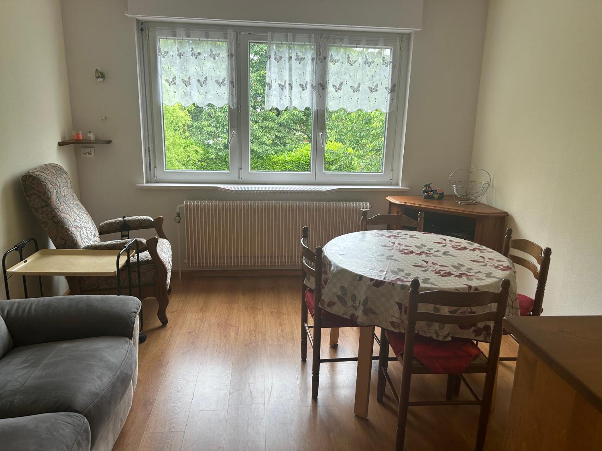 Superbe Maison 3 Chambres 1 Etage Et Sous-Sol, Avec Jardin Et Terrasse Altkirch Buitenkant foto